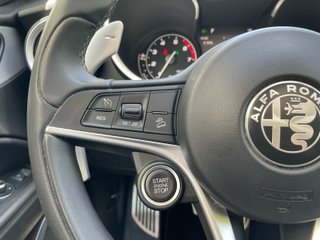 Alfa Romeo Stelvio Alfa Romeo Stelvio 2.0 Gasolina 206kW (280CV) Executive AWD