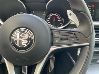 Alfa Romeo Stelvio Alfa Romeo Stelvio 2.0 Gasolina 206kW (280CV) Executive AWD