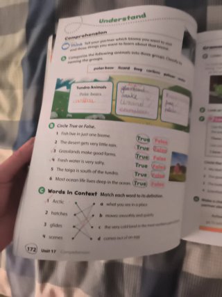 Oxford Discover: Level 4 Student Book Pack