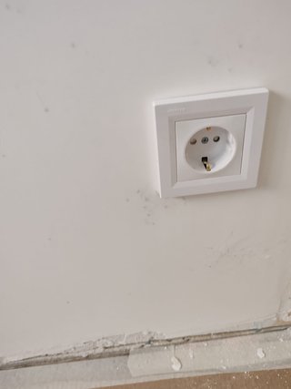Servicios de Electricidad y Pintura