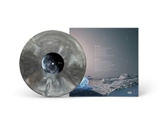 VINILO MOONCHIES - SKYHOOK GRIS + PEGATINA