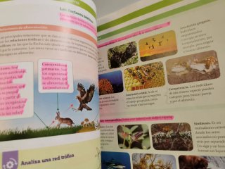 BIOLOGIA Y GEOLOGIA MEC 1ESO CONSTRUYENDO MUNDOS