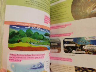 BIOLOGIA Y GEOLOGIA MEC 1ESO CONSTRUYENDO MUNDOS