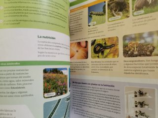 BIOLOGIA Y GEOLOGIA MEC 1ESO CONSTRUYENDO MUNDOS