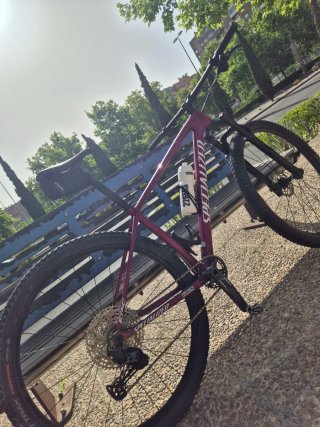 Specialized Epic HT Carbono