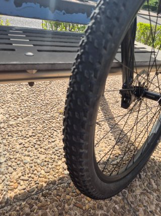 Specialized Epic HT Carbono