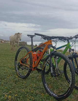 Bicicleta Coluer Pragma CK 290 Carbono Premium