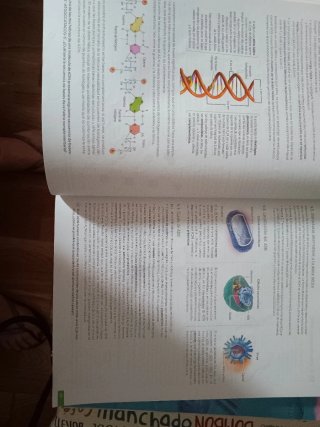 Biología, 2 bachillerato, Revuela