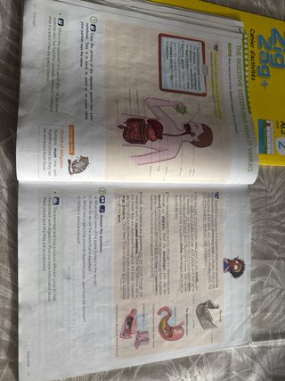 libros texto gredos san diego 5 primaria