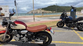 Triumph Thunderbird Beige/Burdeos