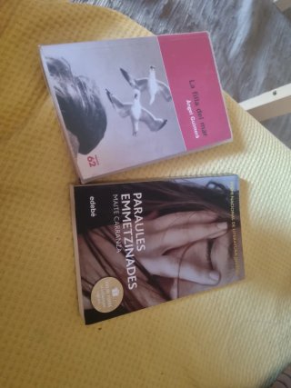 Lote 4 Libros: Zafón, Colombani, Guimerà, Carranza