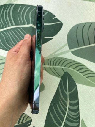 iPhone 13 Pro 256GB azul alpino - 100% Batería