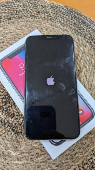 iPhone X