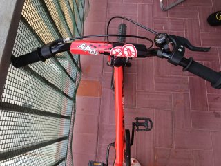 Bicicleta Infantil 20 APOLON Roja
