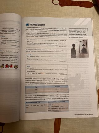 Lengua castellana y literatura 2 Secundaria