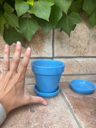 3 Maceteros azules con plato