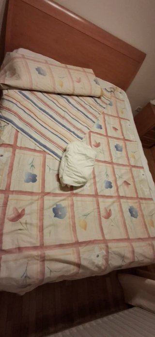 Juego de Funda Nórdica Cama 90cms, Reig Martí