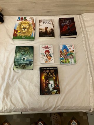 Lote de libros en castellano (10 años)