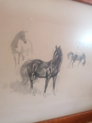 Disegno di cavalli firmato Jandro
