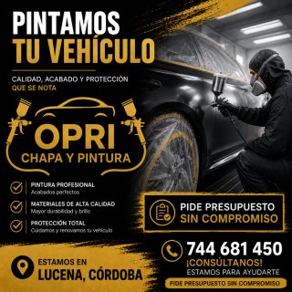 Pintado de vehículos