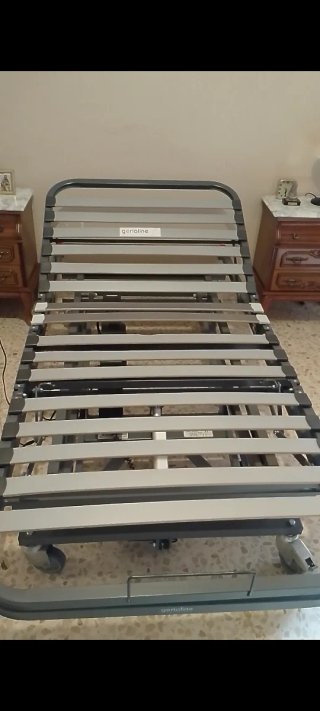 Cama articul. eléctric. Gerioline+colchón+transpor