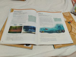 Lengua 3 Primaria : Operación Mundo