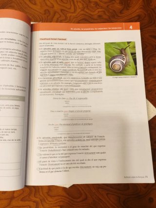 Llengua catalana i literatura 1 BAT