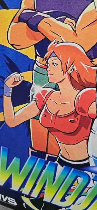 Windjammers Data East Neo Geo Poster PVC 70x50cm