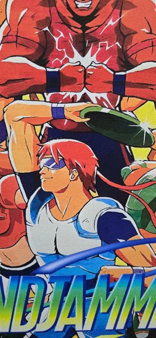 Windjammers Data East Neo Geo Poster PVC 70x50cm