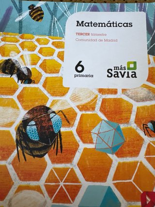 Matemáticas 6 Primaria, [Comunidad de Madrid]