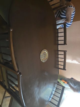 Mesa y 8 Sillas Macizas tapizadas en wen estado