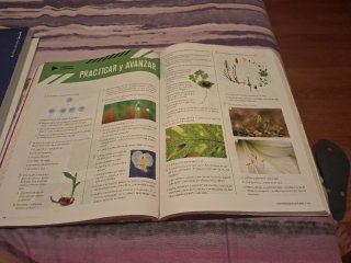 Proyecto: FanFest - Biología, Geología y Cienci...