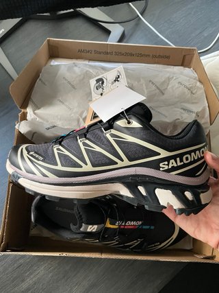 Salomon XT6 Violet Goretex (EUR 40)