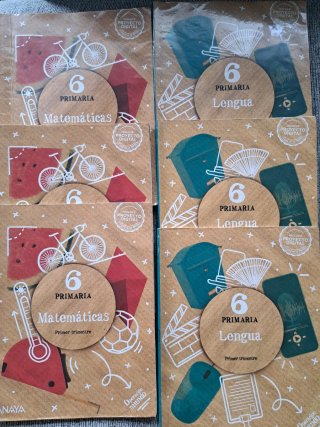 Libros de 6° de primaria de matemáticas y lengua.