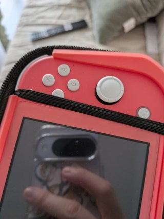 Nintendo Switch Lite Rosa + Cargador + Accesorios