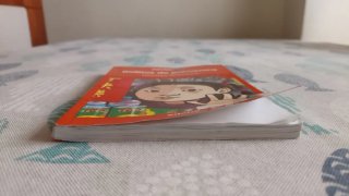 Libro Rollitos de primavera EDEBE