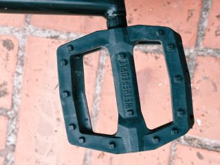 Wethepeople 2017 REASON Freecoaster