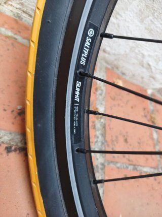 Wethepeople 2017 REASON Freecoaster
