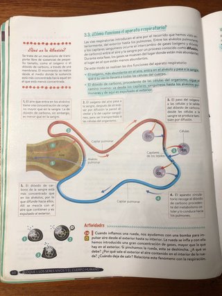 Biología y Geología 1º ESO. Libro del estudiant...