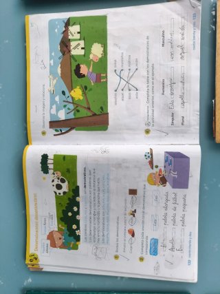 Lengua 2 primaria