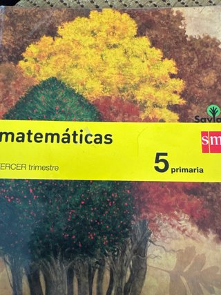 Matemáticas 5 Primaria. Madrid