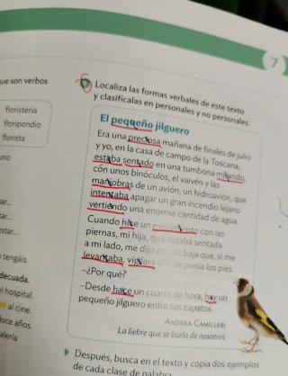 LENGUA CASTELLANA Y LITERATURA 1 ESO CONSTRUYEN...