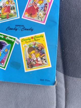 Libro antiguo Candy Candy