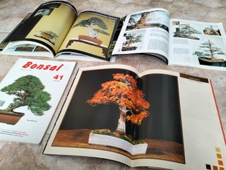 Lote Revistas Bonsai: Guías Prácticas