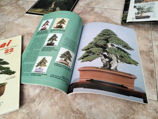 Lote Revistas Bonsai: Guías Prácticas