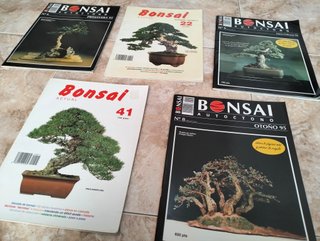 Lote Revistas Bonsai: Guías Prácticas