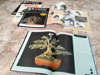 Lote Revistas Bonsai: Guías Prácticas