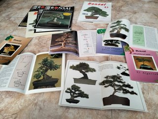 Lote Revistas Bonsai: Guías Prácticas