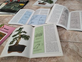 Lote Revistas Bonsai: Guías Prácticas