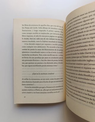 Confesiones de un joven novelista.